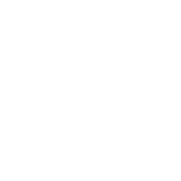 Max dei Miracoli